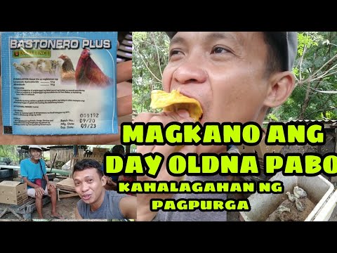 Video: Pagpapamura
