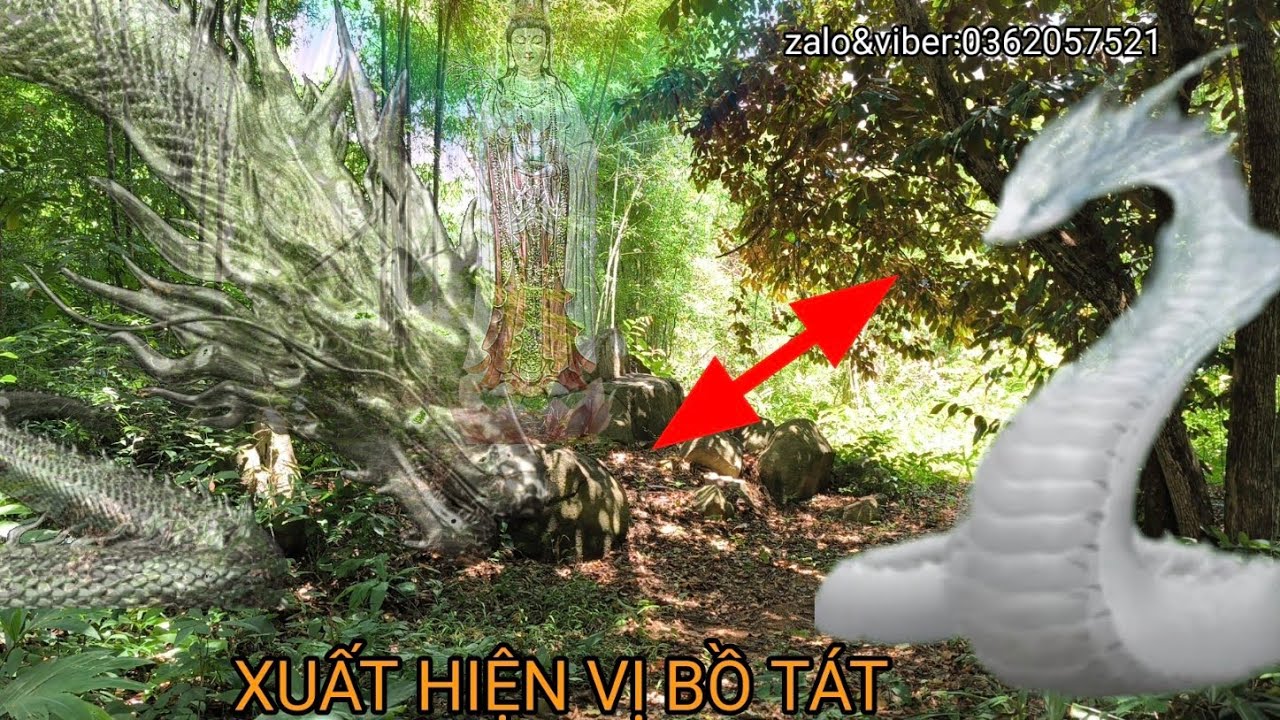 Tập214:VỊ BỒ TÁT LẤY VIÊN NGỌC TỪ TRONG BỤNG RẮN+BẤT NGỜ KHI THẤY RẮN ...
