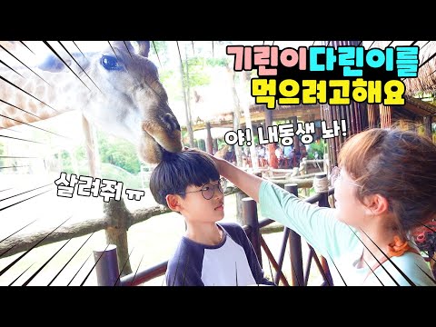 기린이랑 같이 밥 먹는 곳이 있다고 해서 갔는데ㅠ 다린이를 먹으려고 해요! 푸꾸옥 여행 빈펄 사파리 가족 일상 브이로그 vlogㅣ토깽이네