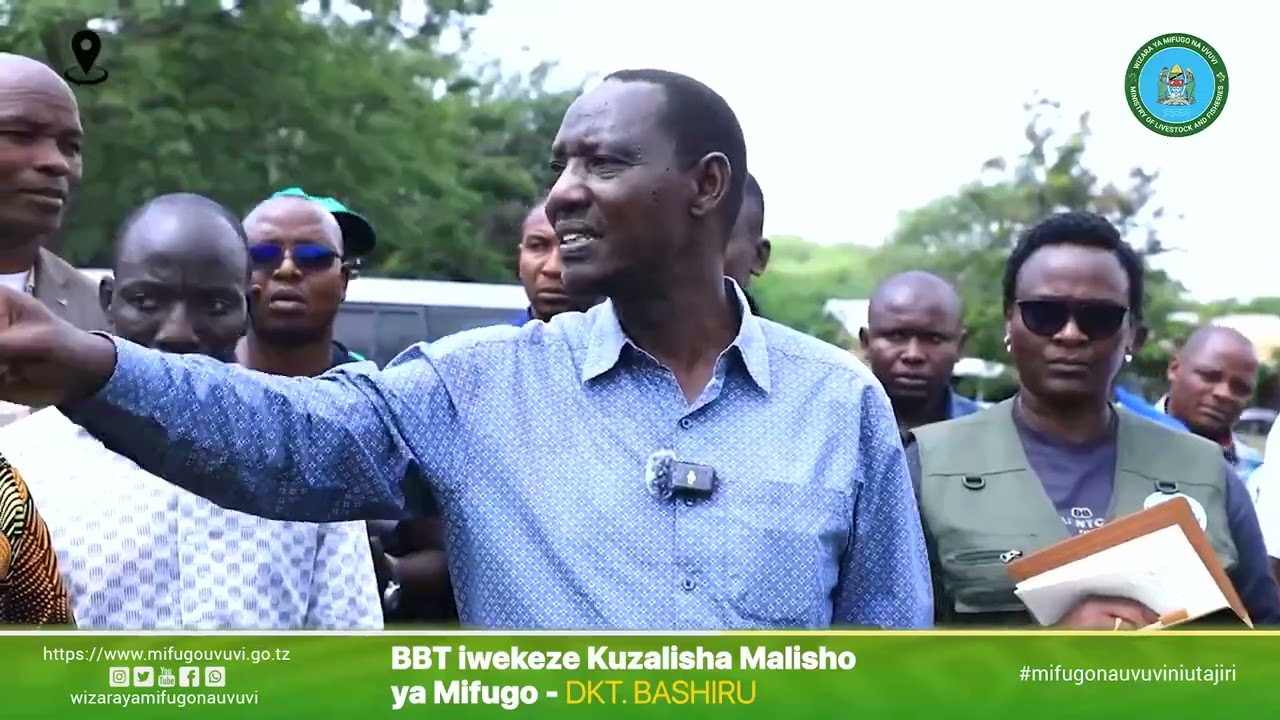 BBT IWEKEZE KUZALISHA MALISHO YA MIFUGO - DKT  BSHIRU ALLY
