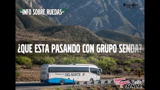 ¿QUÉ ESTA PASANDO CON GRUPO SENDA? ISR TV