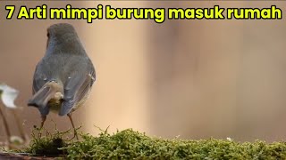 7 meanings of dreams about birds entering the house #birdsenteringthehouse #dreammeanings