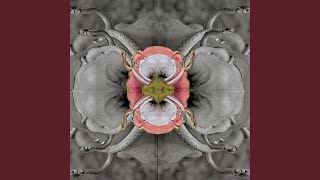 Download Lagu Jane MP3