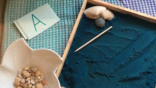 Ocean Sensory Bin! w/Tr.Lauren