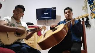 fiesta en jalisco - vihuela y guitarron