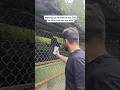 Waking up animals in the zoo 😁 #shortsfeed #shortsvideo #zoo #sikkim #youtubeshorts #funny