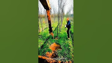 Fast tree planting techniques- Good tools and machinery can increase work efficiency