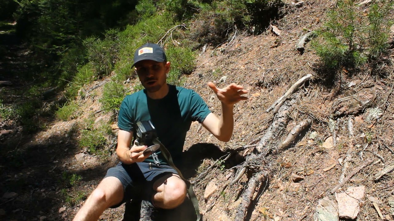 Dsoon Wildkamera - Review