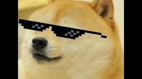 Lost Alpha Beautiful Wild Nature.EXE