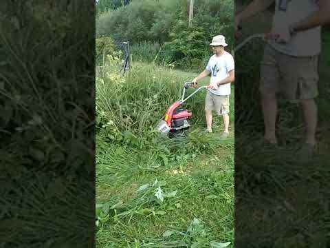 Сінокосарка бензинова HECHT 587, видео 1