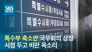 특수부 축소안 국무회의 상정…시점 두고 비판 목소리 / SBS