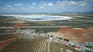 Fuente de Piedra y la Laguna de Fuente de Piedra. Málaga