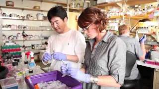 Salk Institute - Feast, Famine, And The Genetics Of Obesity