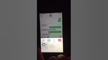 How to delete iMessage app Game Pigeon on iOS
