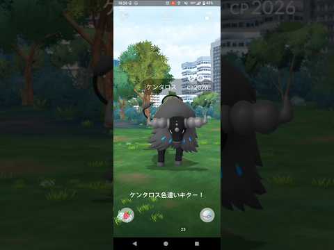 ポケモンGO！ケンタロス色違いキター！！
