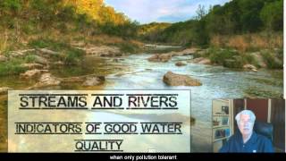Stream Water Quality - L8.6 CCE Information