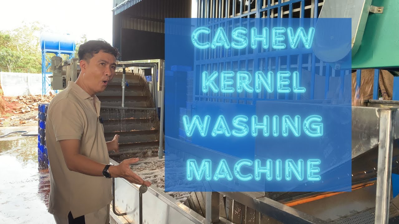 Why do we wash cashew  kernel ? This is how we tackle food hygiene