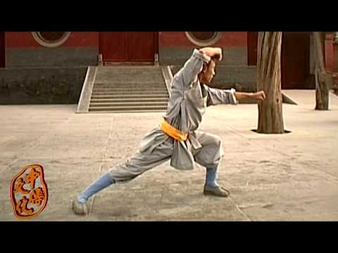 Shaolin Kung Fu Attack Strategy – Da Tong Bi Quan (Big Penetrating-Arms Form) | Monk Shi Yan Lu