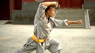 Shaolin Kung Fu Attack Strategy – Da Tong Bi Quan (Big Penetrating-Arms Form) | Monk Shi Yan Lu