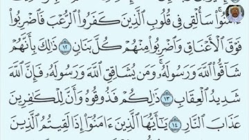 (04) سورة الأنفال الشيخ بندر عبد العزيز بليلة الآيات: 12-16