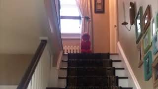 Elmo Falls Down the Stairs (Censored NOT FOR KIDS)
