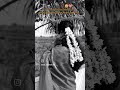 🥀🥹💖... #shorts #videos #trending #viral #explorepage #youtubeshorts