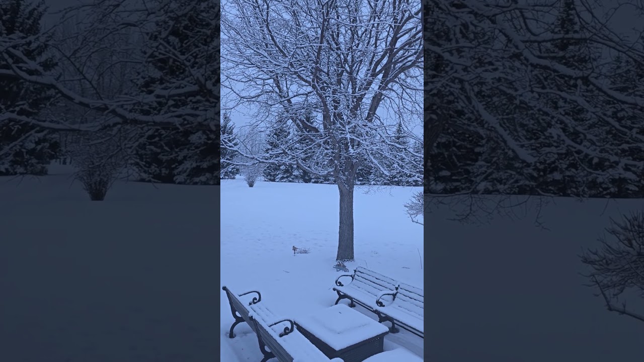 Winter Bliss in 25 Seconds after ❄️✨ 