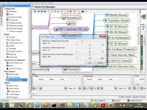 Informatica MDM 10.1 Hierarchy Manager | Informatica MDM Tutorial
