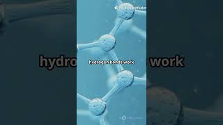 Mpemba Effect Fast Science Explainer  #facts #science #funfacts #shorts #viral #mrbeast #comedy