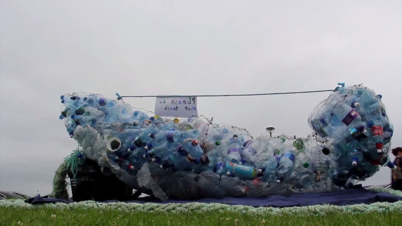 Uisceadán Chathair na Gaillimhe - Cúla4