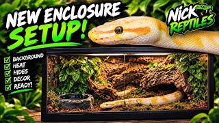 Bioactive Ball Python Enclosure (part 1)