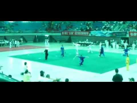 Fifth Zhejiang International Traditional Wushu Tou...