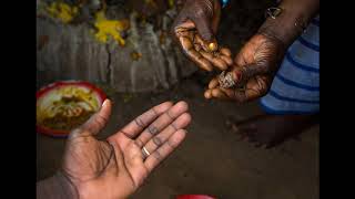 Download lagu Map Kite Peyi A · Racine Figuier