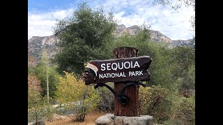 Our Trip to Sequoia National Park 2021/ رحلتنا الى بارك سيكويا العامة شفنا اكبر شجرة بالعالم