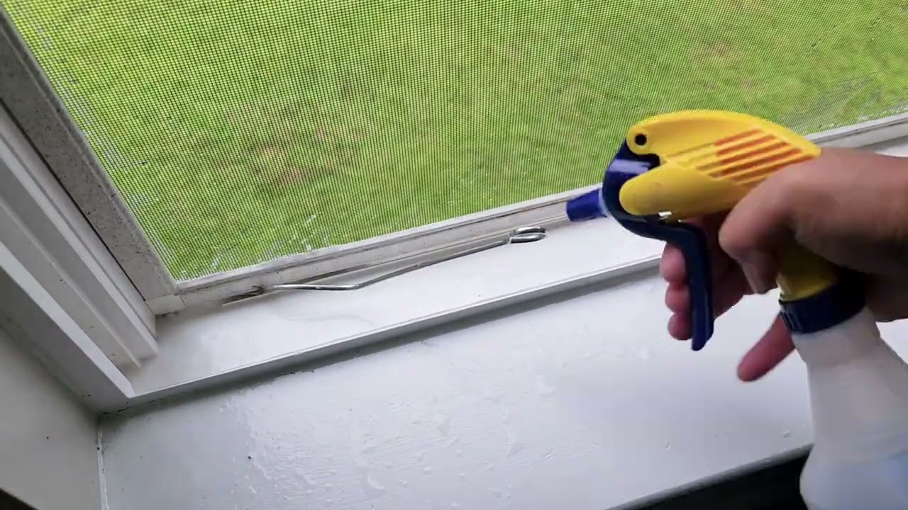 First Window Cleaning in Our New Place | Satisfying Clean