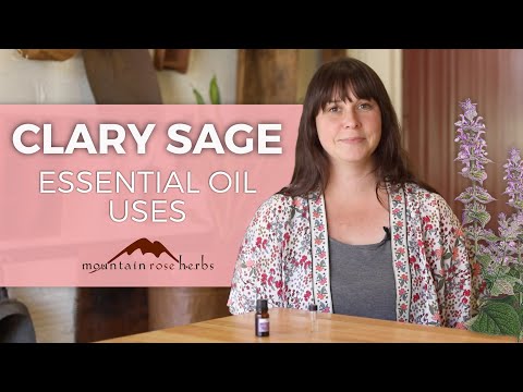Videó: Clary Sage Plant – Hogyan termessünk Clary Sage