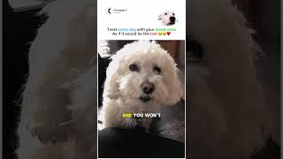 Each Day Should Count As If It Would Be The Last