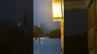 Sneeuw en 7 graden kou in Oklahoma: het voeden van de wilde dieren