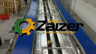 Clasificadora De Mango - Empacadora Phoenix Sac Piura, Perú Zaizer S.a. De C.v.