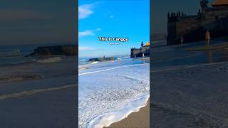 Welcome To Canggu Bali #shorts #youtubeshorts #shortvideo #canggu