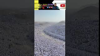 Hajj 2026 ka Rooh Parwar Manzar || #ytshorts #islam #reels #motivation #hajj @Noori66