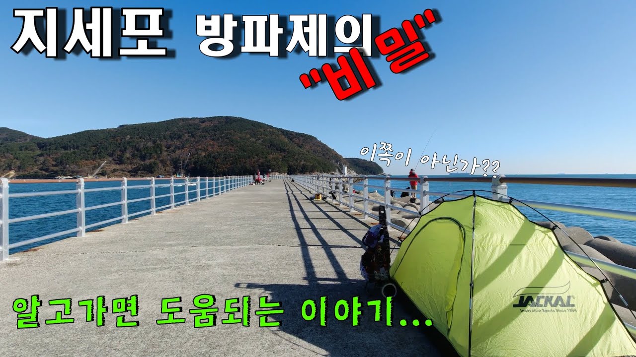 전노캠#24 거제 지세포 방파제의 비밀