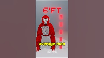 How tall is a gorilla from Gorilla tag?