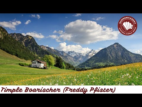 Timple Boarischer – Steirische-Harmonika-Lernvideo von Manuel Merler