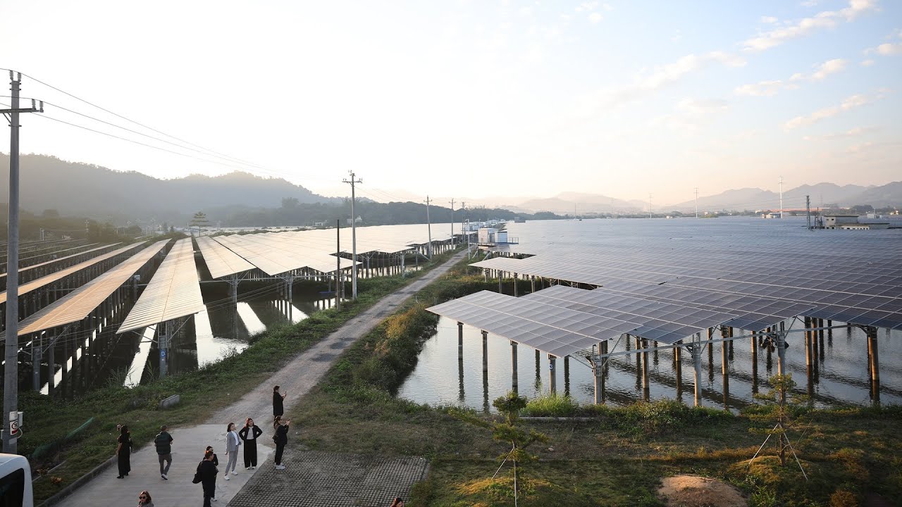 Floating Solar Farm ใหญ่ที่สุดในกวางตุ้ง 30-12-25