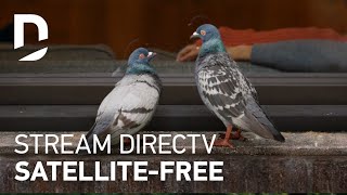 DIRECTV | For The Birds | Window :30