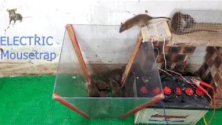 Electric Mouse Trap 2019 Best Electric Mousetrap Diy Mousetrap