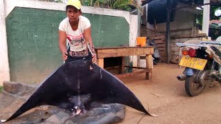 Amazing! A Hard Working Woman's Daily Living and Fish Cutting Skills (part 2)