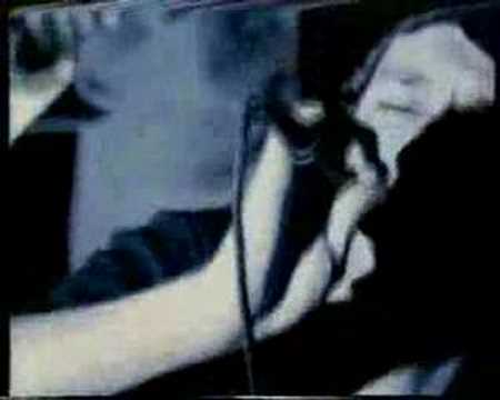 Shed Seven - Ocean Pie