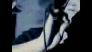 Shed Seven - Ocean Pie